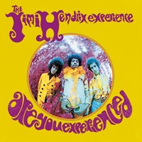 Are you experienced?